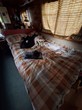 Otter - Thumbnail 12