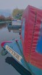 Otter - Thumbnail 2