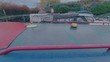 Otter - Thumbnail 5