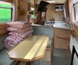 Birch - Thumbnail 12
