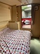 Maple - Thumbnail 11