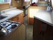 Birch - Thumbnail 9