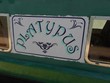 Platypus - Thumbnail 3