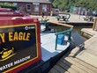 Tawny Eagle - Thumbnail 3