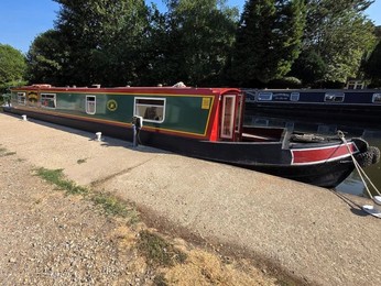 Rustic Bunting