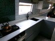 Mud skipper - Thumbnail 11